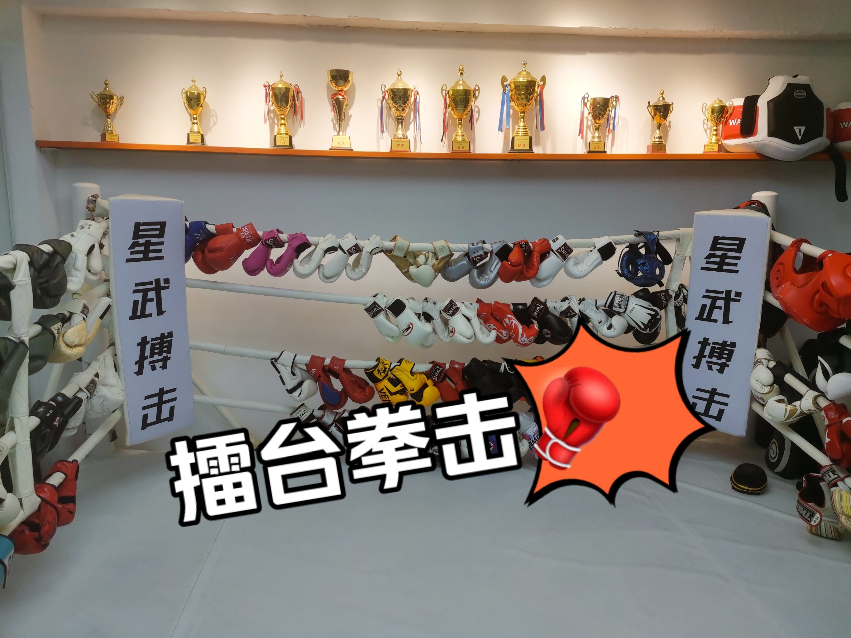 拳击比赛擂台上厮杀，中国选手勇夺头奖