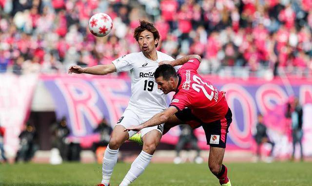 开云体育官方网站-关于重庆力帆战胜哈尔滨毅腾，取得主场胜利的信息