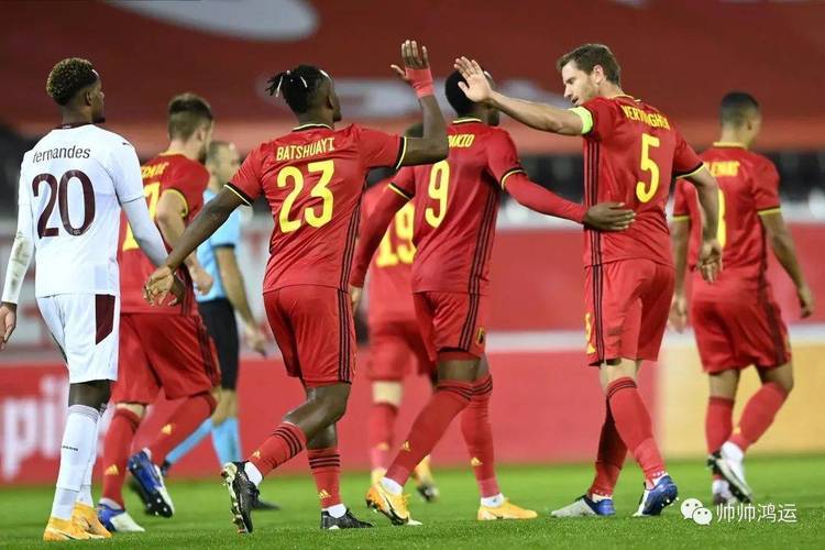 开云体育官网-威尔士客场逼平斯洛伐克，晋级希望不明