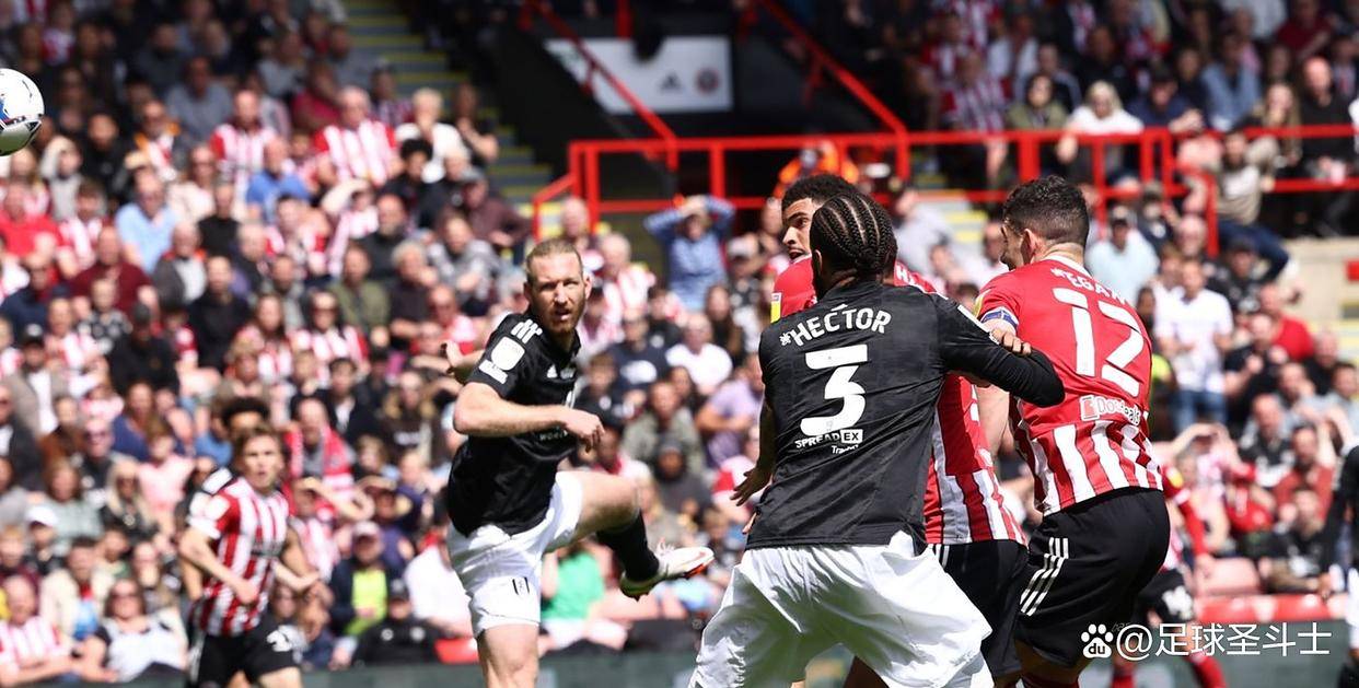 开云体育官网-富勒姆在硬仗中告捷，河床新星秀实力的简单介绍