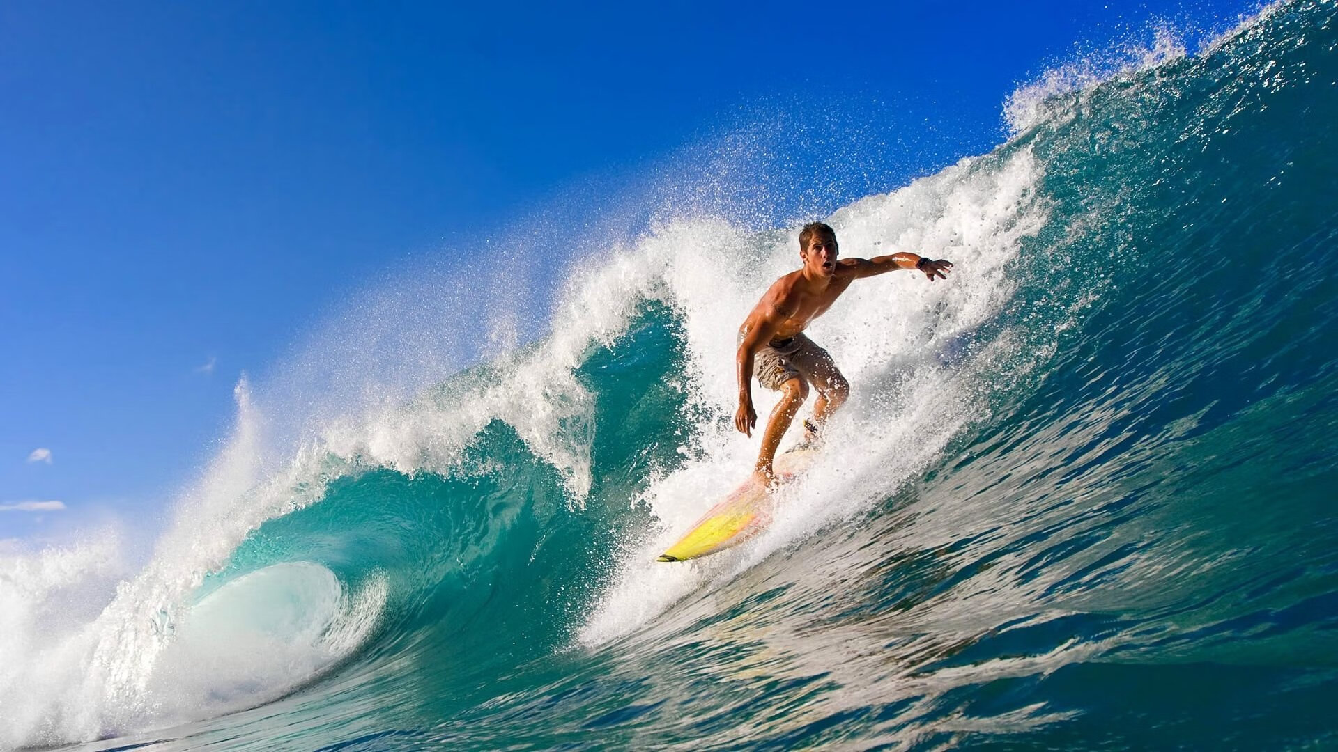 开云APP-巨星光环下的孤独，霍勒迪冠军级表现难阻尼克斯险胜深圳队